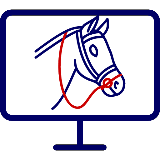 Live Streaming Horse Racing